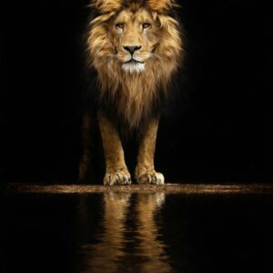 Pared Tipo Marmol UV LEON CAMINANDO 1.22 m*2.44 m*3mm